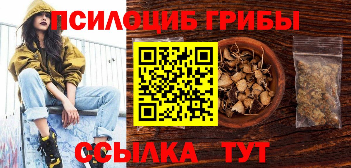 Псилоцибиновые грибы прущие грибы Тверь
