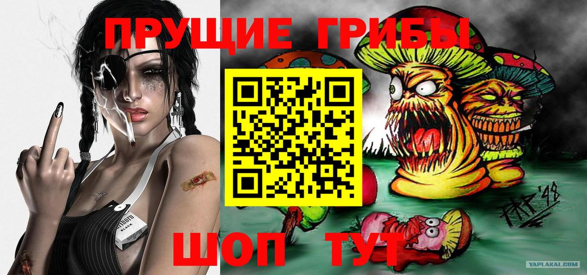 Тверь  Псилоцибиновые грибы Psilocybe  Вход с VPN 