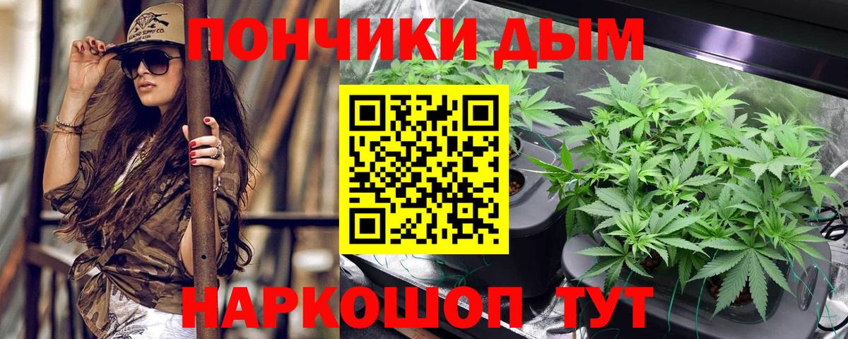 Шишки марихуана White Widow  Шишки марихуана AK-47  Вход с VPN  Шишки марихуана индика  Тверь 